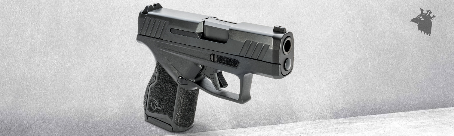 New Micro Pistol: Taurus GX4